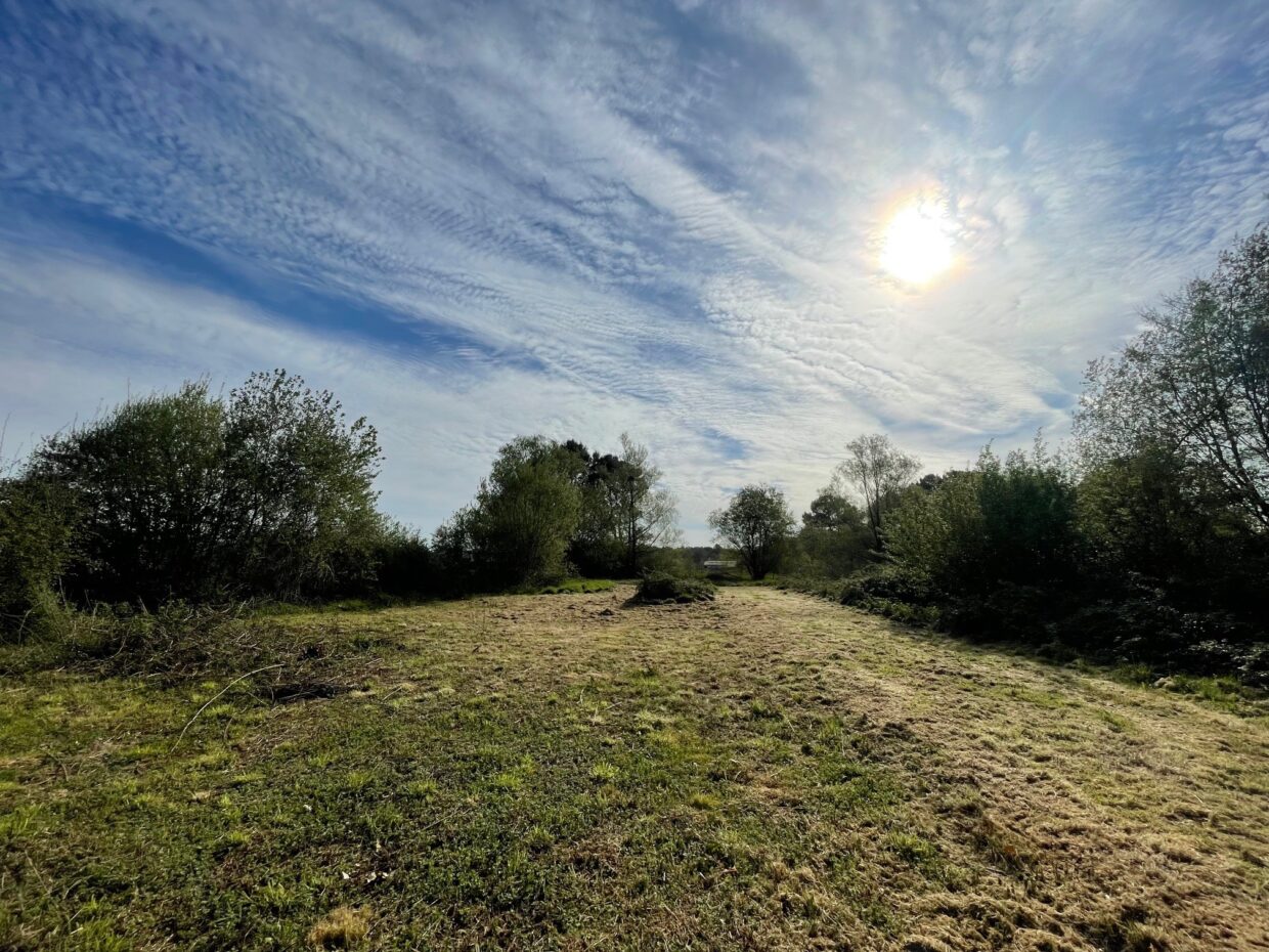 Terrain constructible Cartelègue  (Gironde 33)
