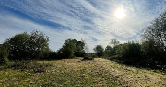 Terrain constructible Cartelègue  (Gironde 33)