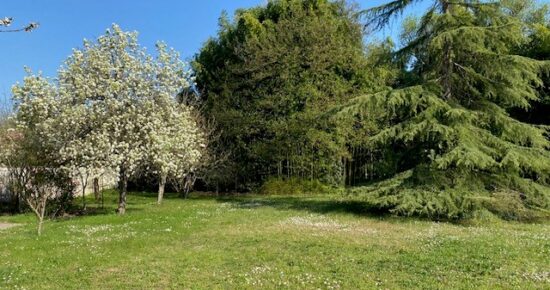 Terrain constructible Bordeaux caudéran  (Gironde 33)