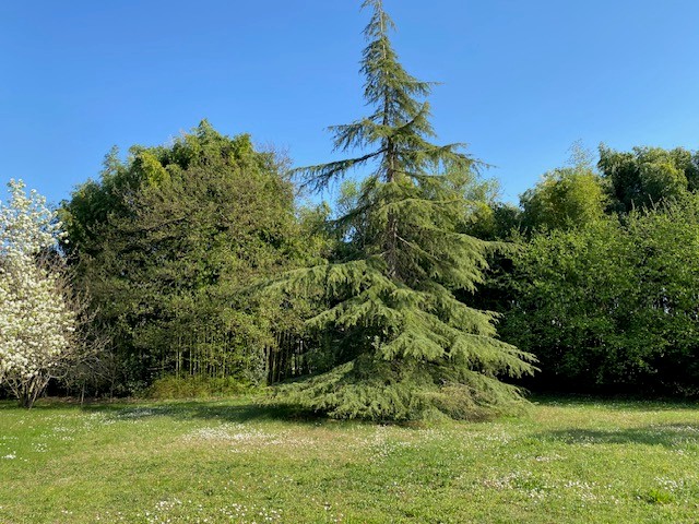 Terrain constructible Le taillan-médoc  (Gironde 33)