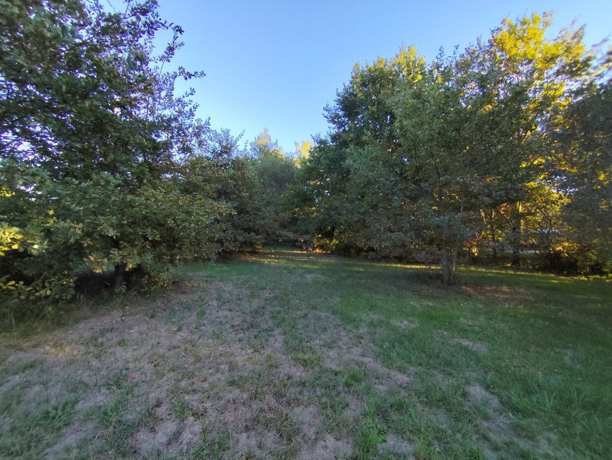 Maison avec terrain Salaunes  (Gironde 33)