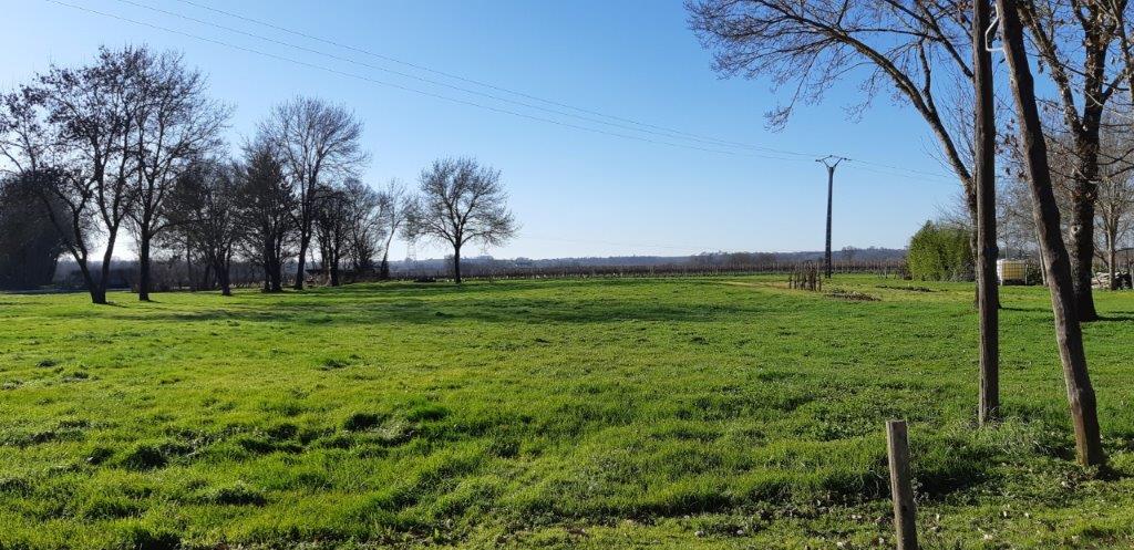 Terrain constructible Nercillac  (Charente 16)