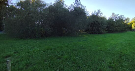 Terrain constructible Salaunes  (Gironde 33)