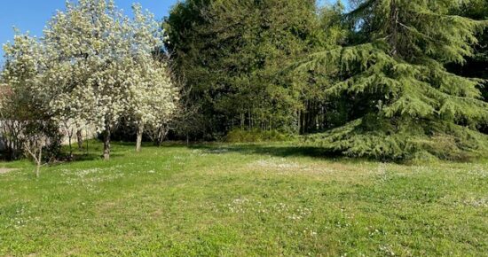 Terrain constructible Bordeaux caudéran  (Gironde 33)
