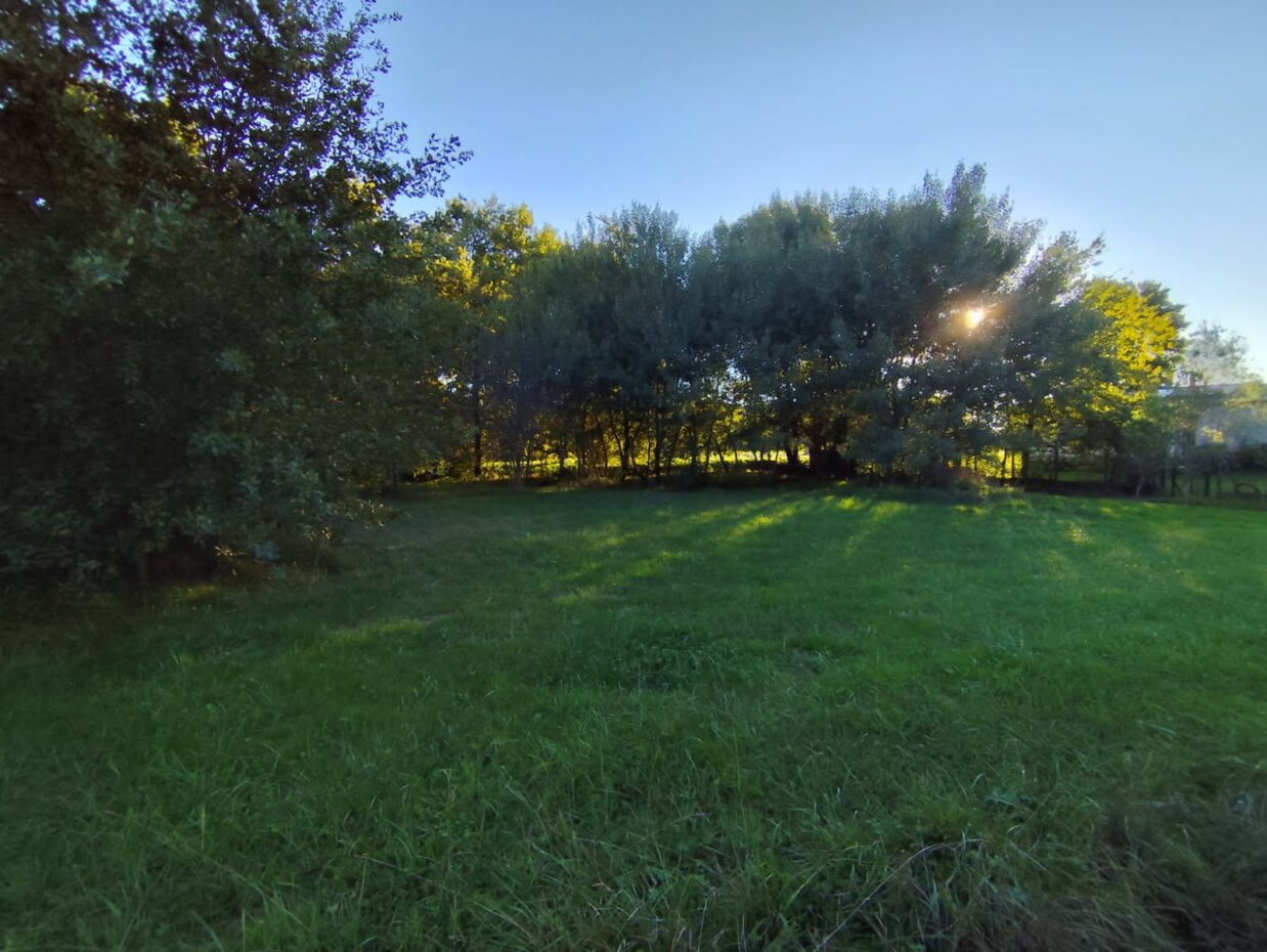 Maison avec terrain Salaunes  (Gironde 33)