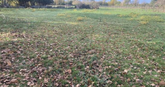 Terrain constructible Izon (Gironde 33)