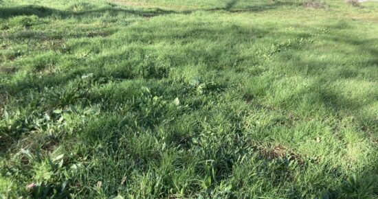 Terrain constructible Saint-sulpice-et-cameyrac  (Gironde 33)