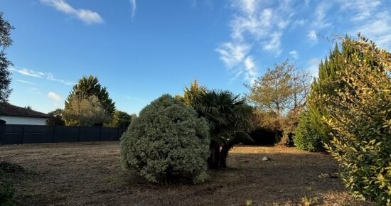 Terrain constructible Soustons (Landes 40)