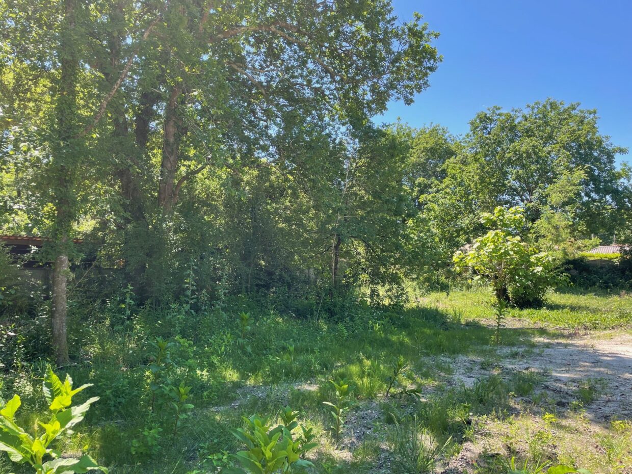 Terrain constructible Lacanau  (Gironde 33)