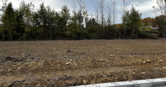 Terrain constructible Lafox  (Lot et Garonne 47)