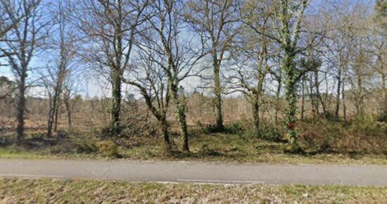 Terrain constructible Cestas  (Gironde 33)