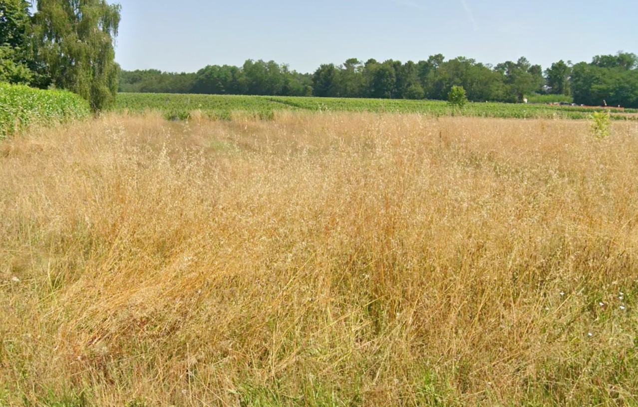 Terrain constructible Illats  (Gironde 33)