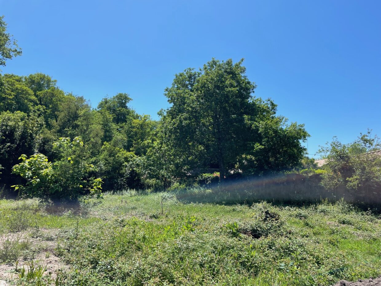 Terrain constructible Lacanau  (Gironde 33)