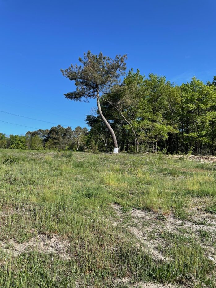 Maison avec terrain Cubnezais  (Gironde 33)