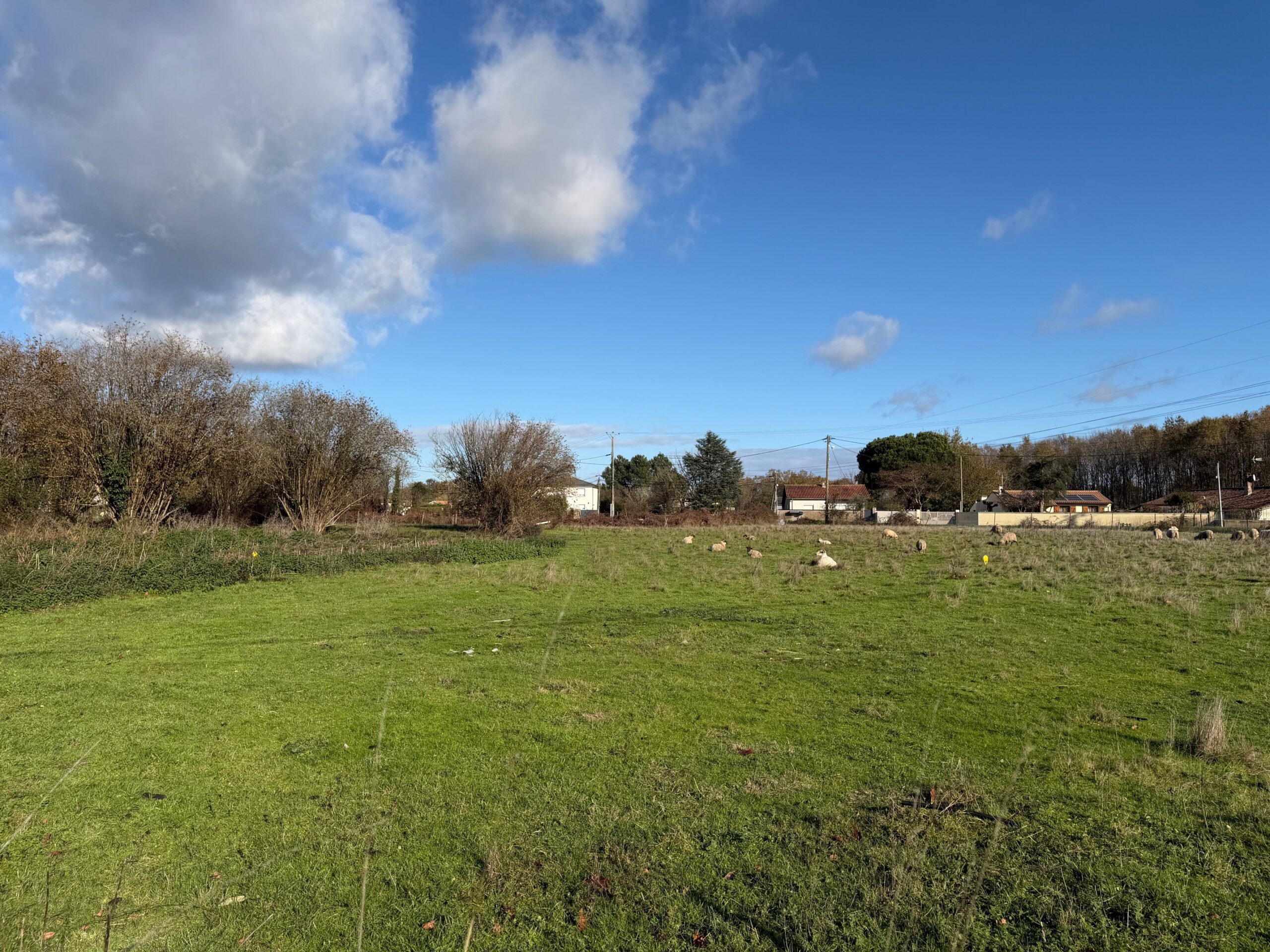 Terrain constructible Ambarès-et-lagrave  (Gironde 33)