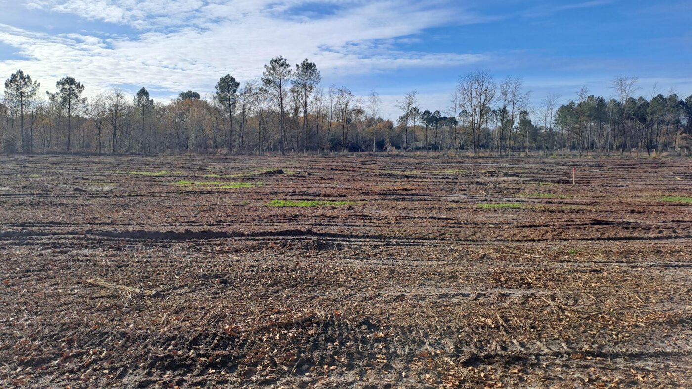 Terrain constructible Cestas  (Gironde 33)