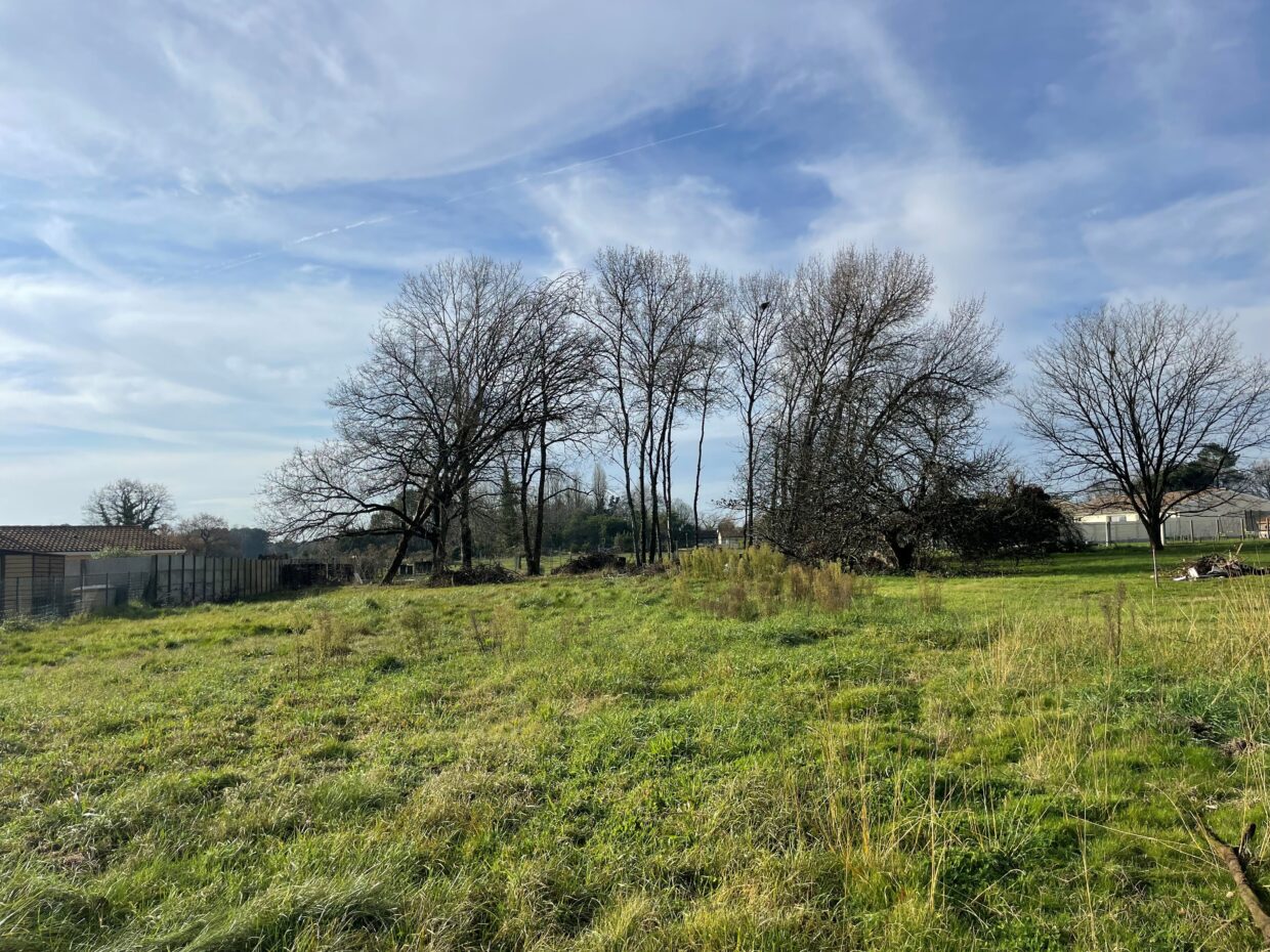 Terrain constructible Pugnac (Gironde 33)