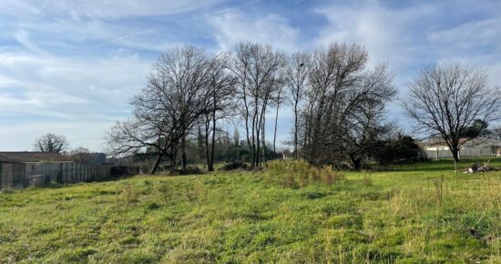 Terrain constructible Pugnac (Gironde 33)