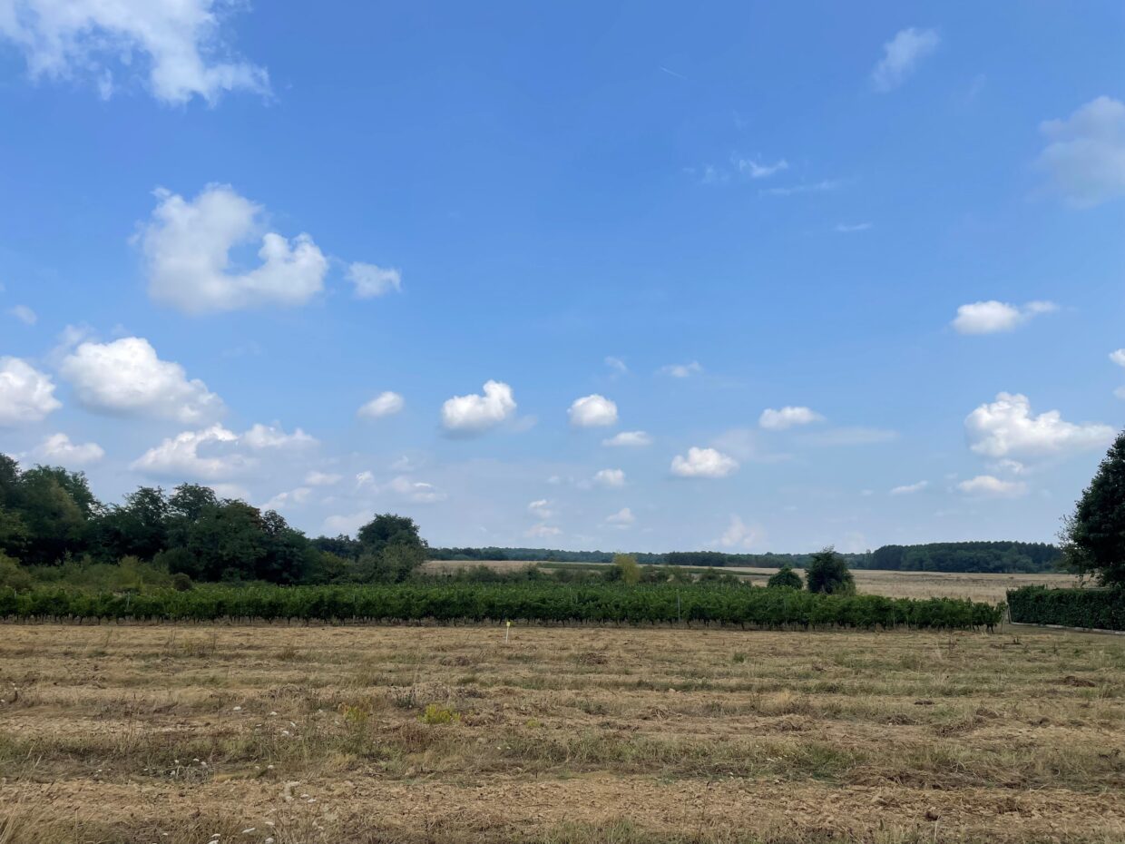 Maison avec terrain Targon  (Gironde 33)