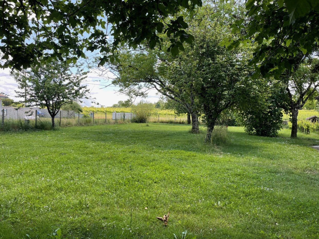 Maison avec terrain Saint-laurent-d'arce  (Gironde 33)