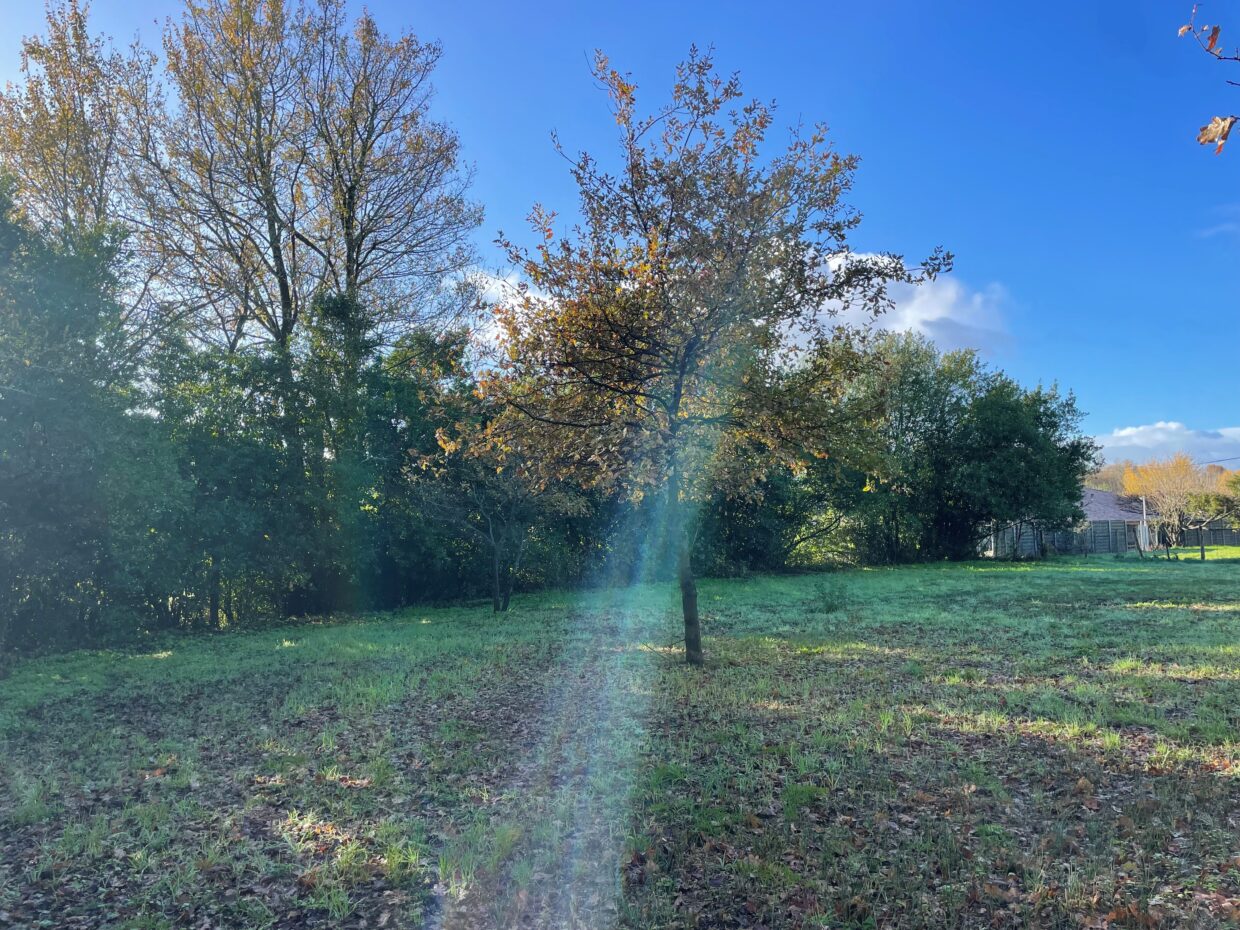 Terrain constructible Cubnezais  (Gironde 33)
