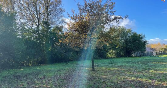 Terrain constructible Cubnezais  (Gironde 33)