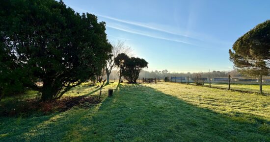 Terrain constructible Blaye (Gironde 33)