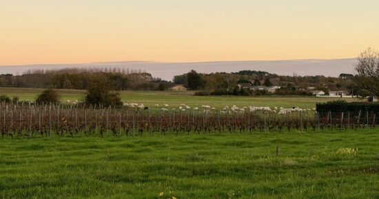 Terrain constructible Marcillac  (Gironde 33)