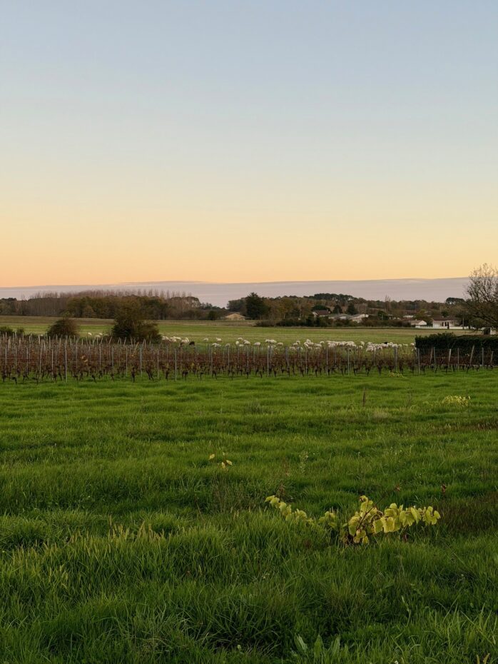 Terrain constructible Marcillac  (Gironde 33)