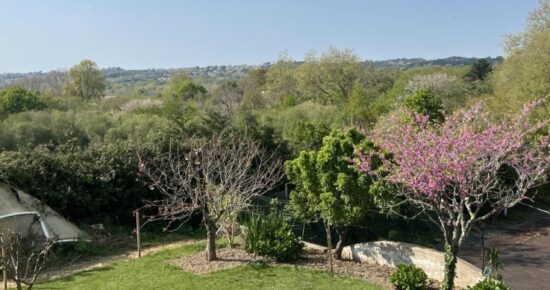 Terrain constructible Arbonne (Pyrénées Atlantiques 64)