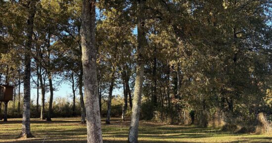 Terrain constructible Cestas (Gironde 33)