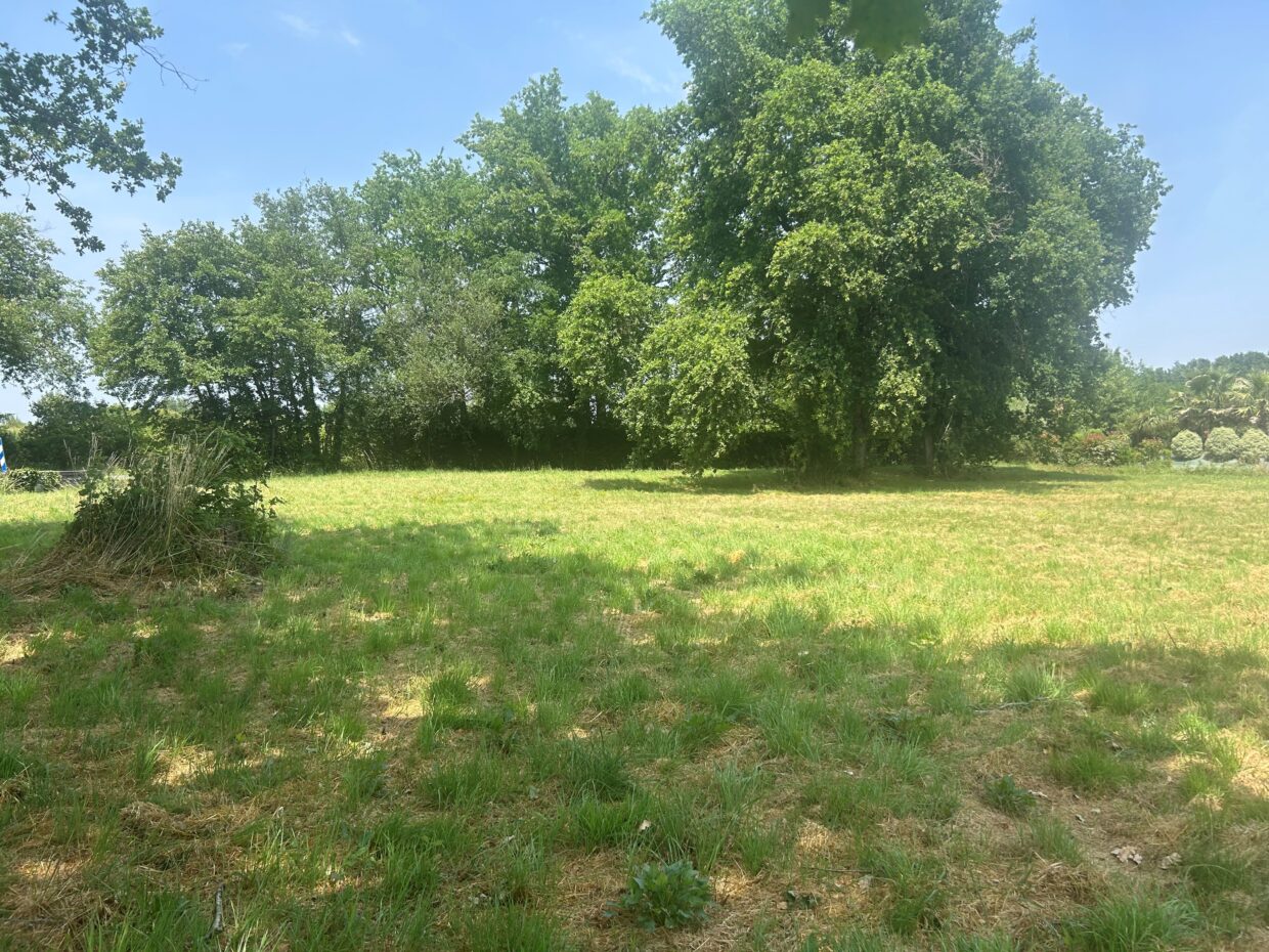 Maison avec terrain Margaux-cantenac  (Gironde 33)
