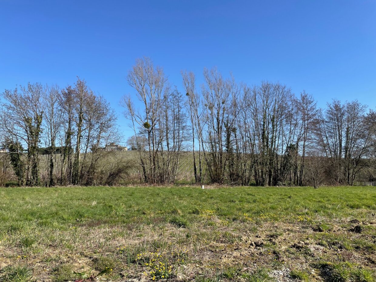 Maison avec terrain Bourg  (Gironde 33)