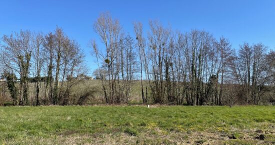 Terrain constructible Bourg (Gironde 33)