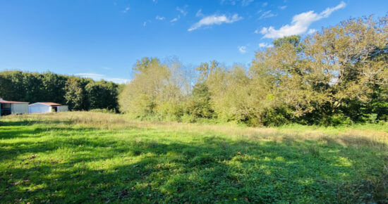 Terrain constructible Castelnau-chalosse  (Landes 40)