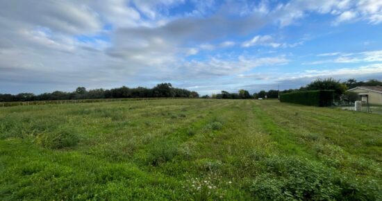Terrain constructible La lande-de-fronsac  (Gironde 33)