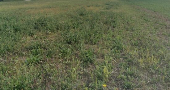 Terrain constructible Lagraulet-du-gers (Gers 32)