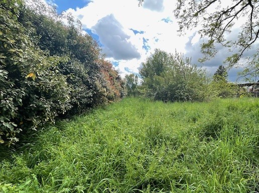 Terrain constructible Monfort (Gers 32)