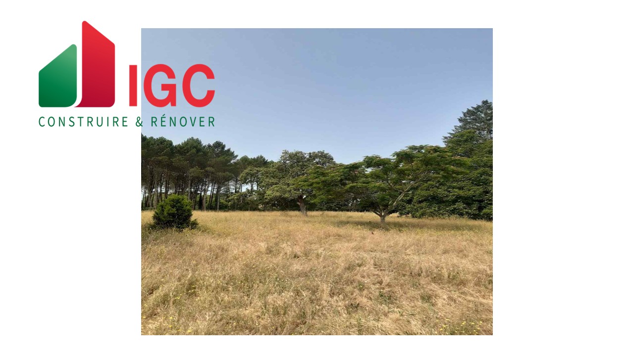 Terrain constructible Bazas  (Gironde 33)