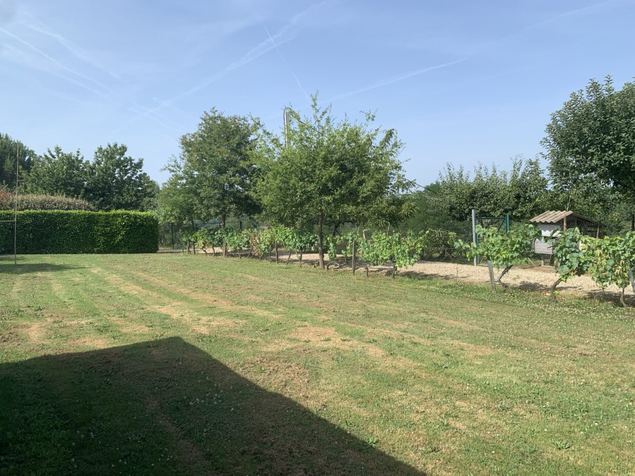 Terrain constructible Castillon-de-castets  (Gironde 33)