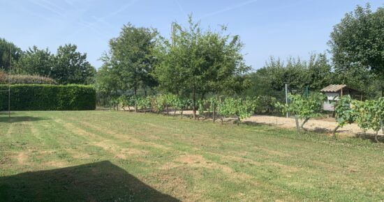 Terrain constructible Castillon-de-castets  (Gironde 33)