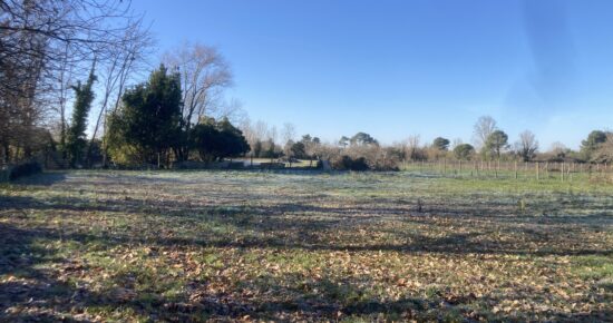 Terrain constructible Izon  (Gironde 33)