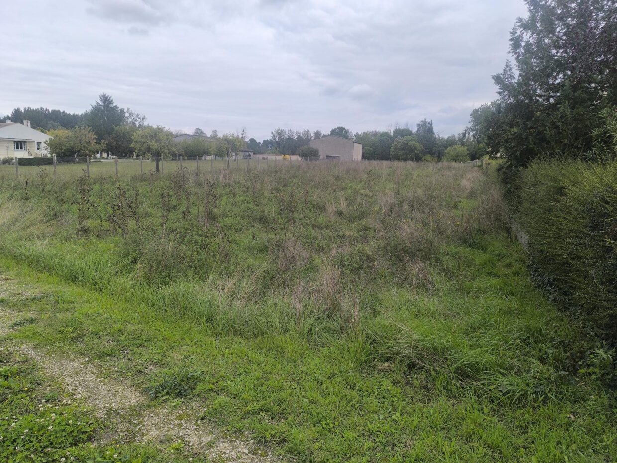 Terrain constructible Ars  (Charente 16)