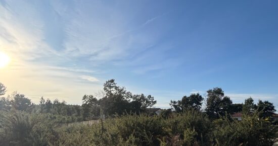 Terrain constructible Moliets-et-maa  (Landes 40)