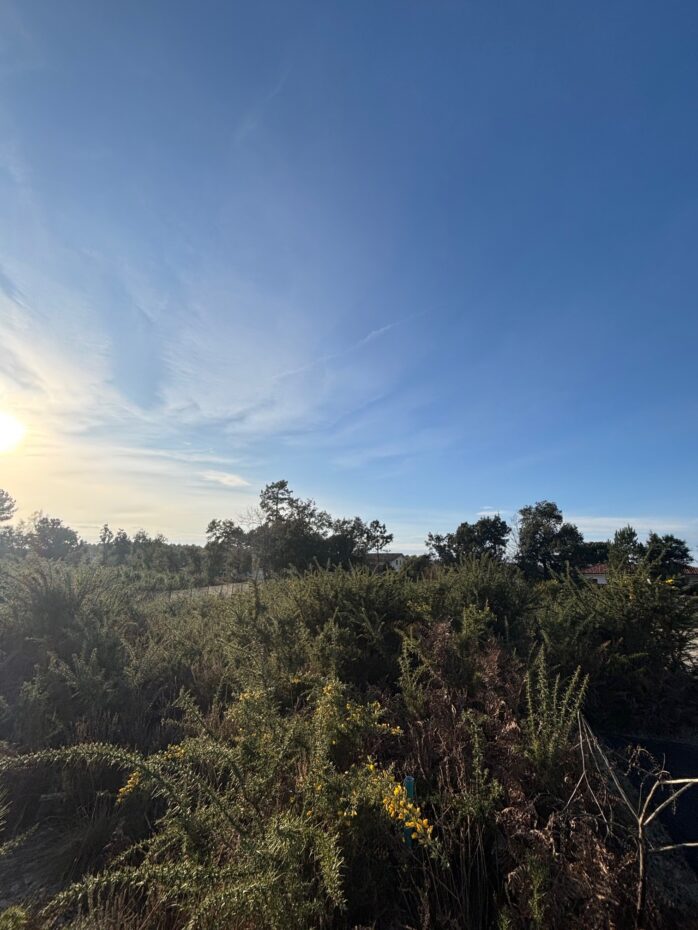 Terrain constructible Moliets-et-maa  (Landes 40)