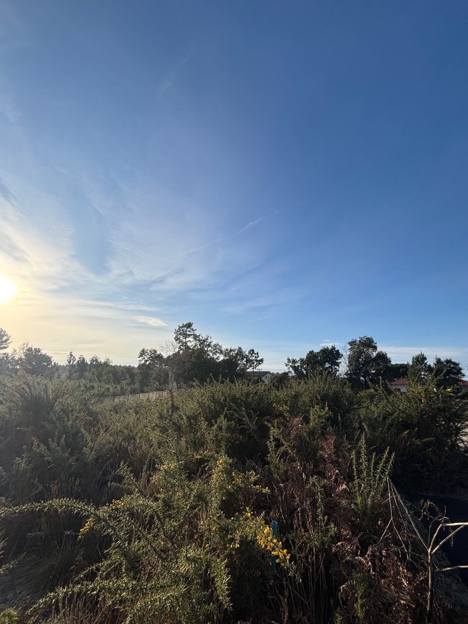 Terrain constructible Moliets-et-maa  (Landes 40)