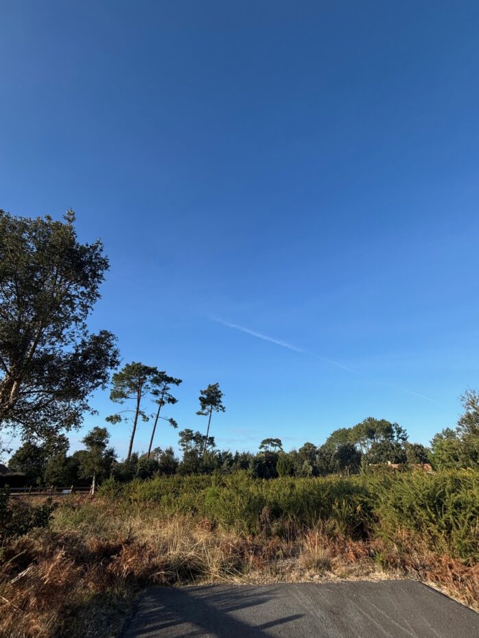 Terrain constructible Moliets-et-maa  (Landes 40)