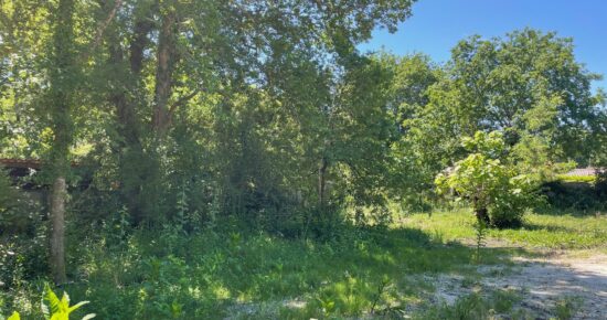 Terrain constructible Lacanau  (Gironde 33)