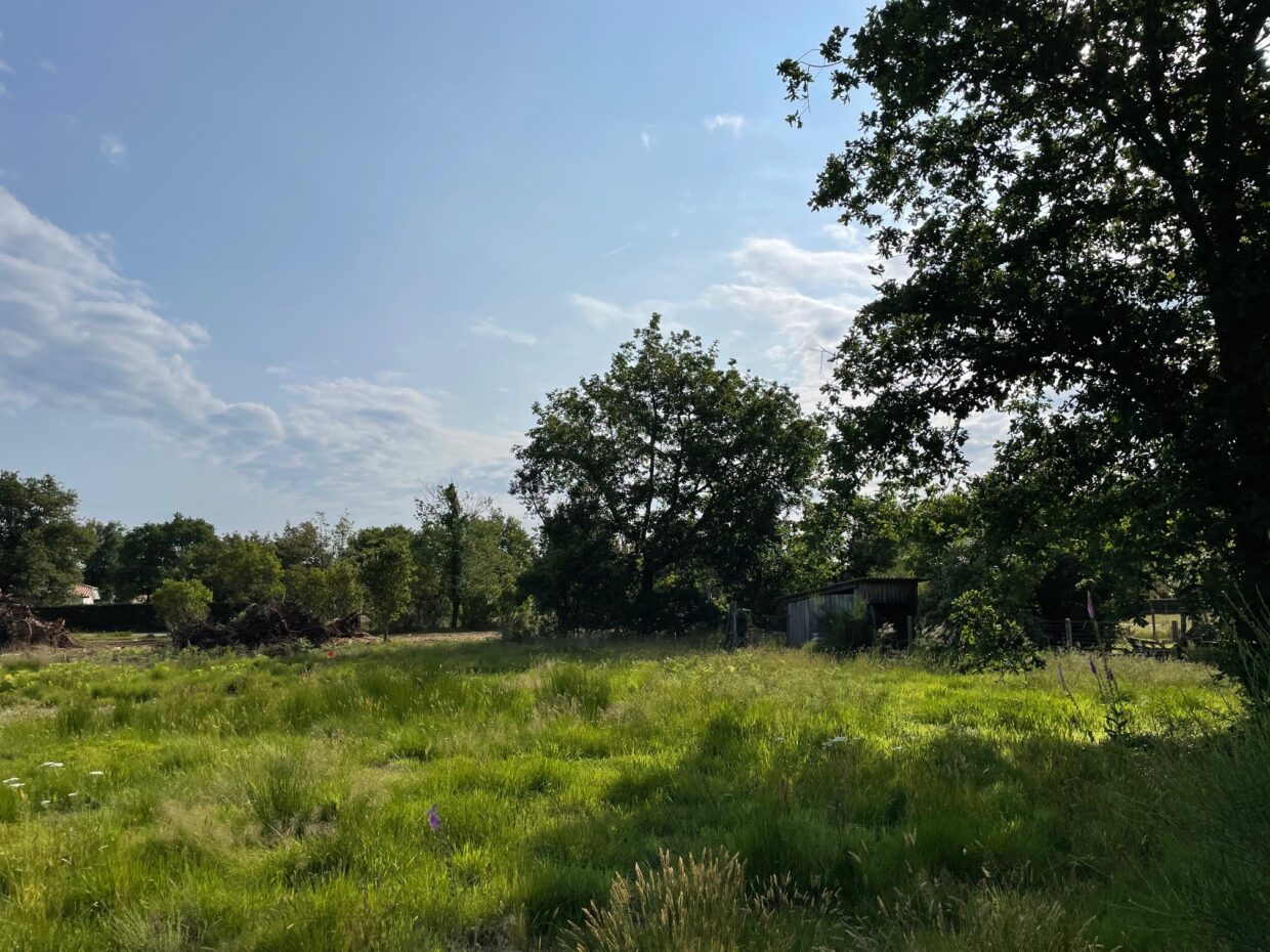 Maison avec terrain Le porge  (Gironde 33)