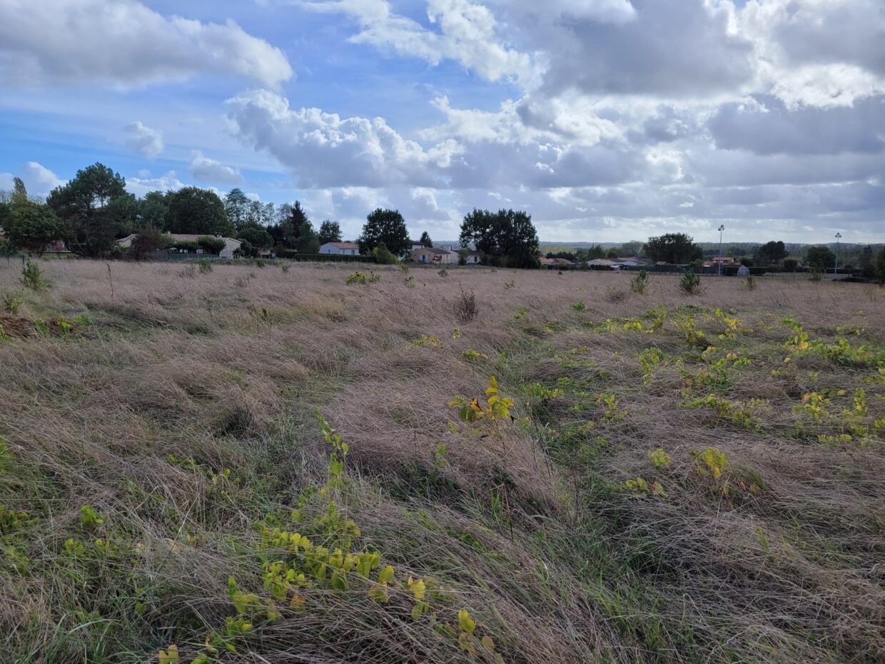 Terrain constructible Verdelais  (Gironde 33)